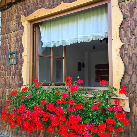 Casa Muchia Lui Girnita Villa Brasov Exterior photo