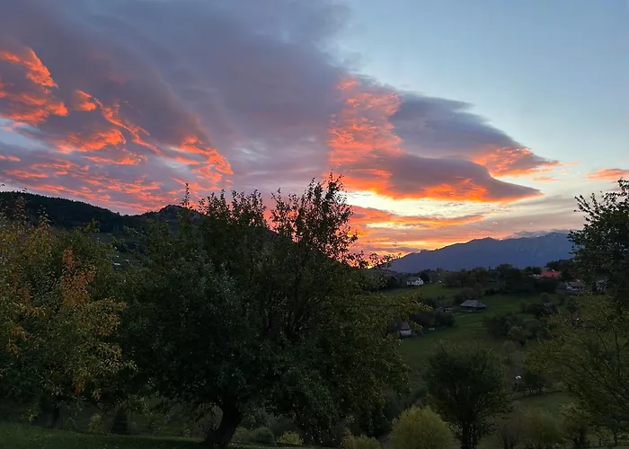 Casa Muchia Lui Girnita