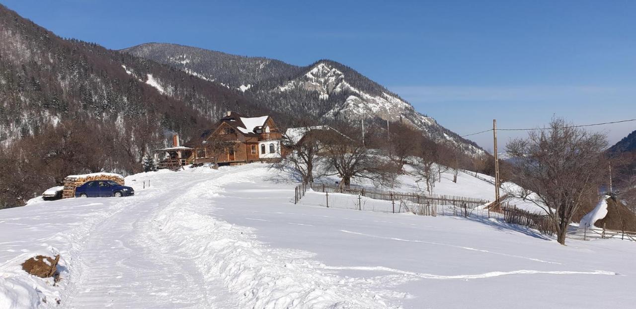 Case de vacanță Casa Muchia Lui Gîrniță *