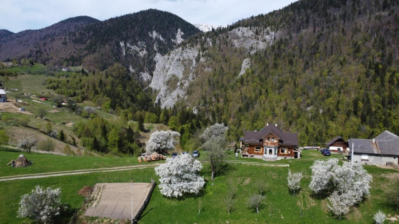 Casa Muchia Lui Girnita Holiday home Brasov