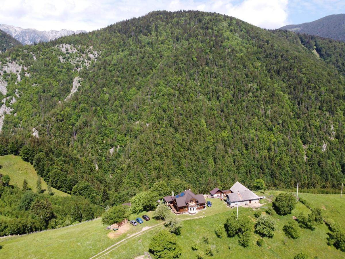 Case de vacanță Casa Muchia Lui Gîrniță *