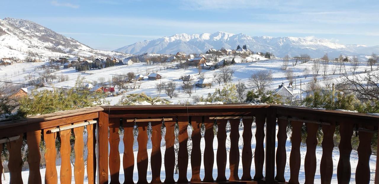 Casa Muchia Lui Gîrniță Case de vacanță