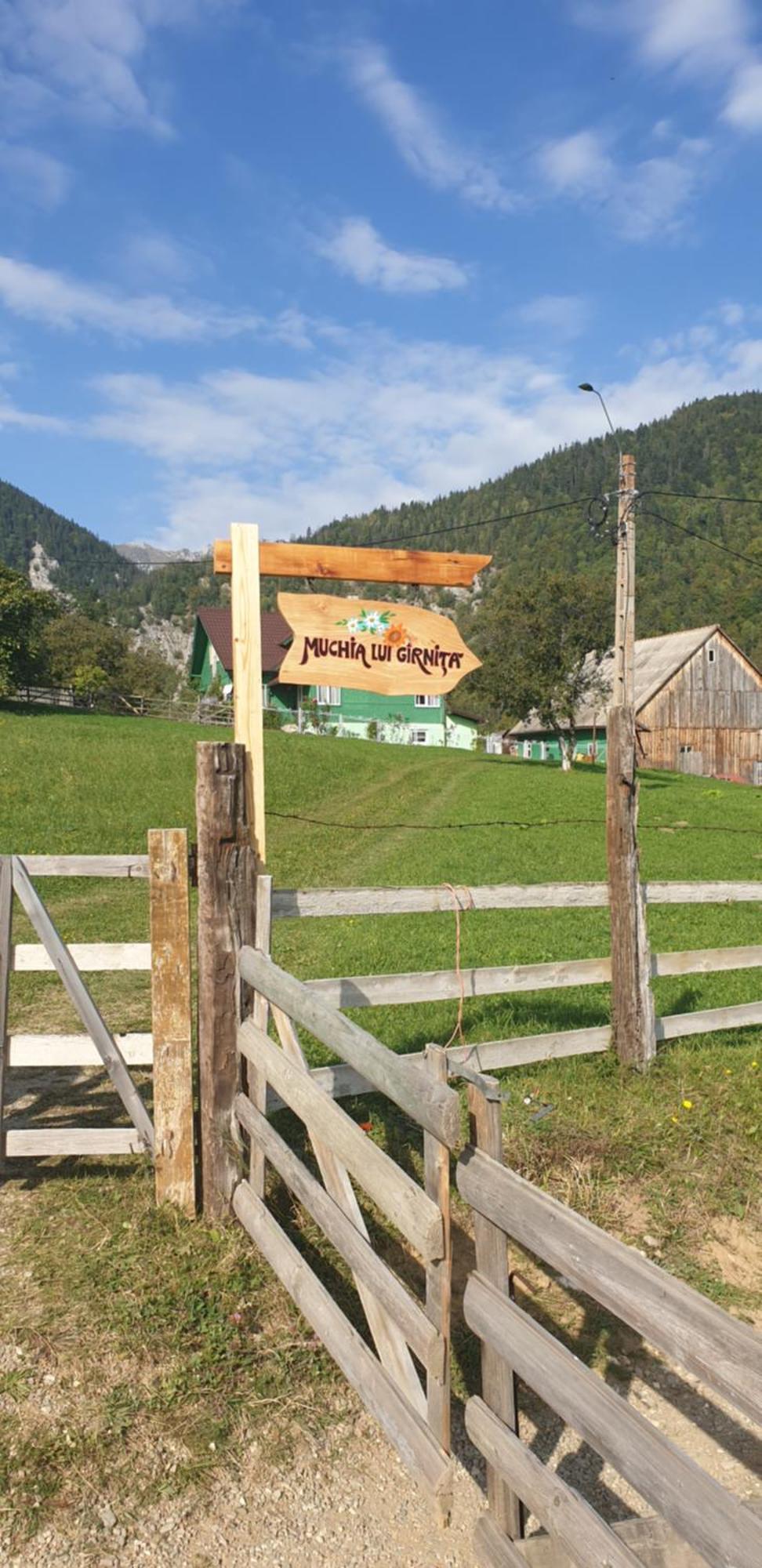 Casa Muchia Lui Gîrniță Case de vacanță *