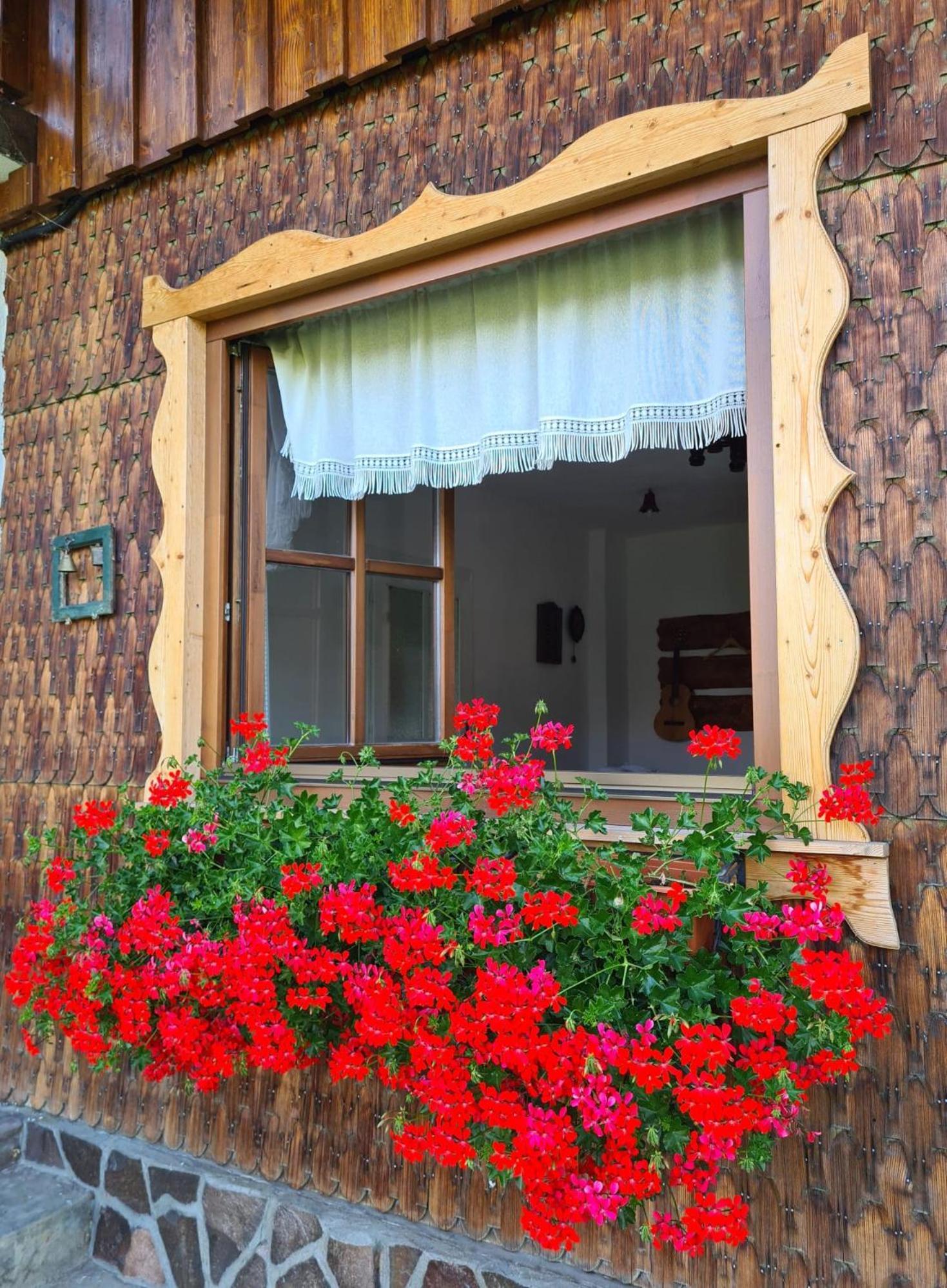 Casa Muchia Lui Girnita Holiday home *