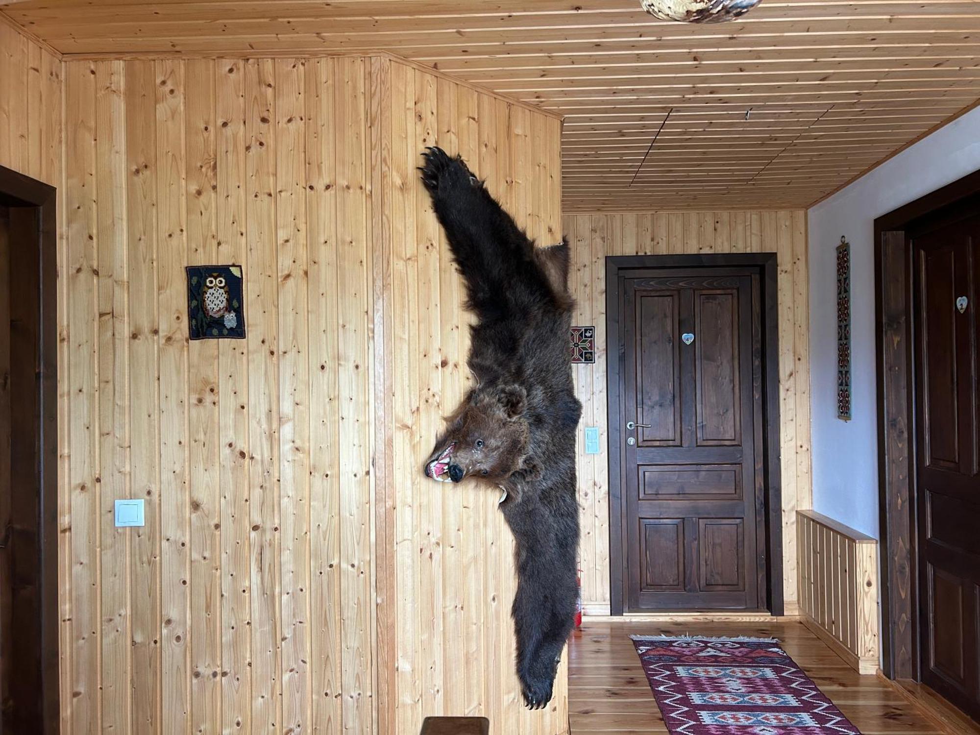 Casa Muchia Lui Girnita * Brasov